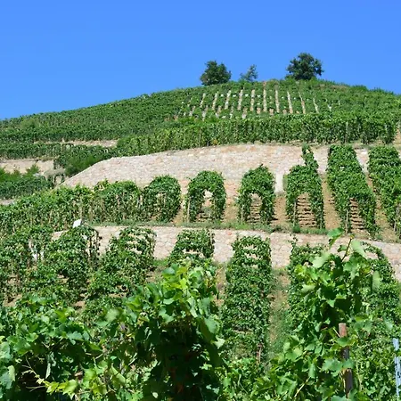 Lamaisondemamere * Tournon-sur-Rhone